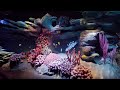 The Seas with Nemo &amp; Friends Ride at EPCOT [4K Low Light]