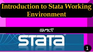 Introduction to stata software  working env't in Amharic, screenshot 3