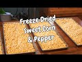 Freeze Dried Sweet Corn &amp; Pepper