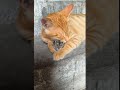 喧嘩するほど仲が良い
