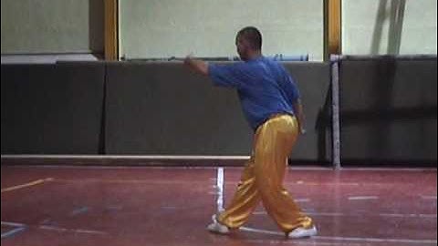 Chen Tai Chi 48 form (si shi ba shi) Part 2