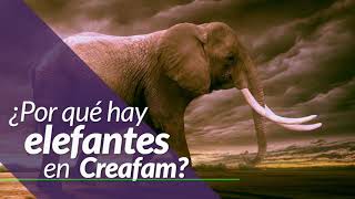 ¿Por qué hay elefantes en Creafam?