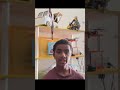What is Dialog Prompting? | Rishi Nalem