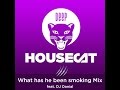 Deep house cat show  what has he been smoking mix  feat dj danial