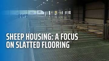 Sheep Housing: A Focus on Slatted Flooring