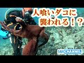 恐怖！！超巨大なタコにダイバーが水中で襲われる！？Giant octopus attacks diver! ?