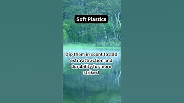 I Tried Category 1 for 30 Days Here