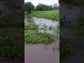 Serra Bela Vista - José Gonçalves (Vitória da Conquista BAHIA) A chuva no nosso Sertão.