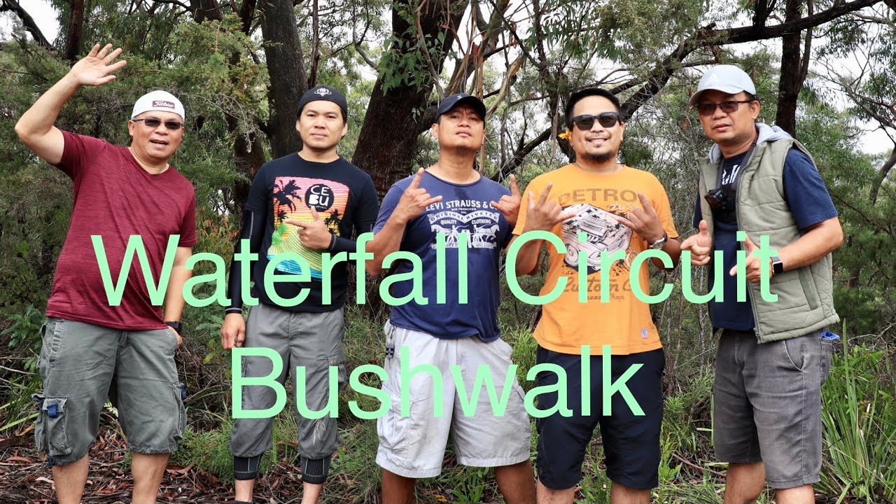 Waterfall Circuit Bushwalk, Lawson, NSW Australia 