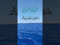 ولد الهادي سيدنا النبي 🤍صلوات ربي وتسليماته عليك ياحبيبي يارسول الله ♥