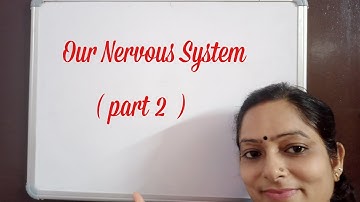 Our Nervous System | Part 2 | Science | Class 5