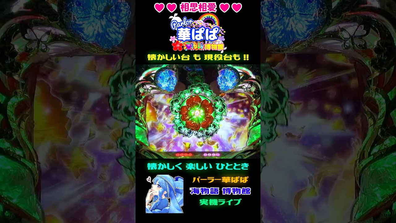 😇最悪のタイミング😇🌺ハイビスカスフラッシュ🌺それでも💙相思相愛