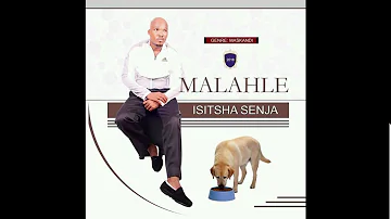 MALAHLE : ISITSHA SENJA