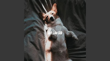 Mind-blowing Ambience for Amusing Days