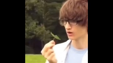 wow  a four leaf clover