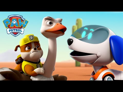 ROBO DOG SAVES RUBBLE FROM A RUN-AWAY OSTRICH!