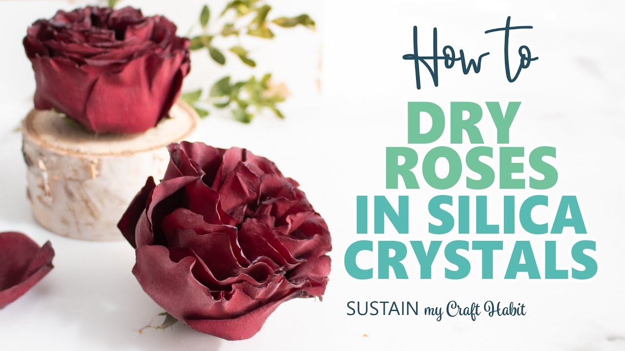Drying flowers with Wisedry Silica Gel Crystals   Link:  The video is from, By Wisedry