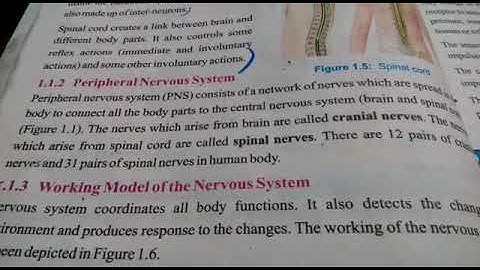 Class:8th|Science|Unit#01|Topic: Peripheral Nervous System| WSS E-Learning