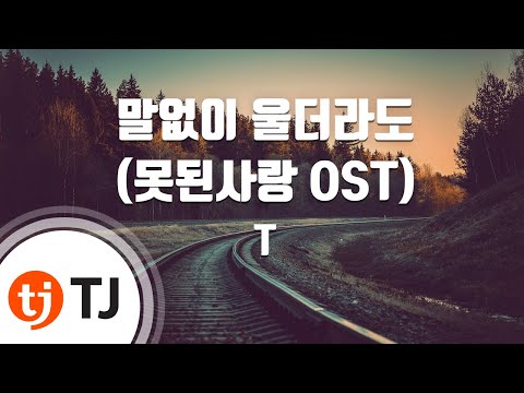 (+) 윤미래-말없이울더라도