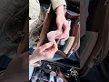 Bag Rummage ASMR