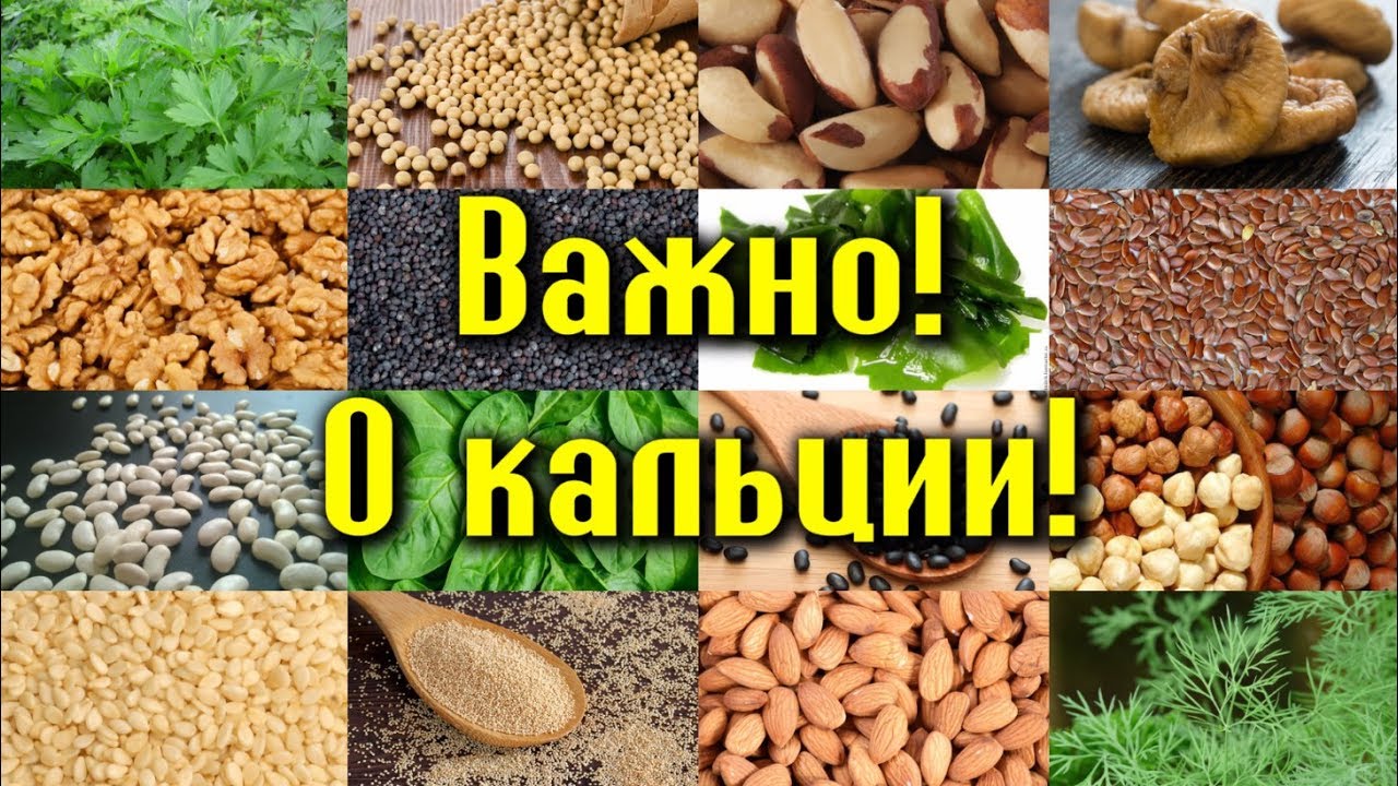 КАЛЬЦИЙ - ВАЖНЕЙШИЙ КОМПОНЕНТ КОСТЕЙ! Зачем нужен и в каких продуктах ...