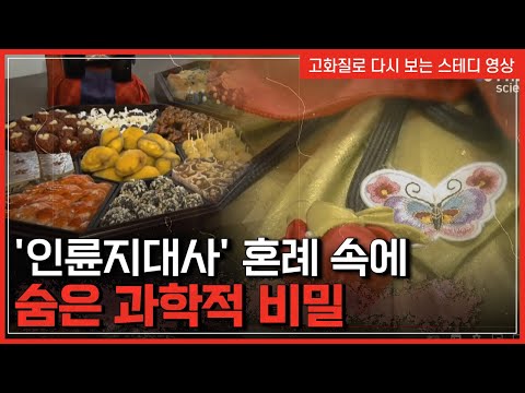 &amp;#39;인륜지대사&amp;#39; <strong>혼례</strong> 속에 숨은 과학적 비밀 | 한국사 탐 [반복재생]/YTN 사이언스