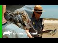 Game Wardens Helping All Kinds Of Animals | Lone Star Law