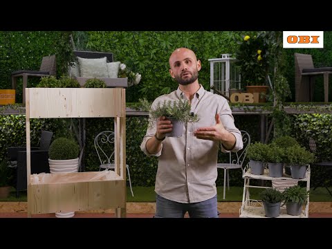 Come coltivare un orto verticale per aromatiche