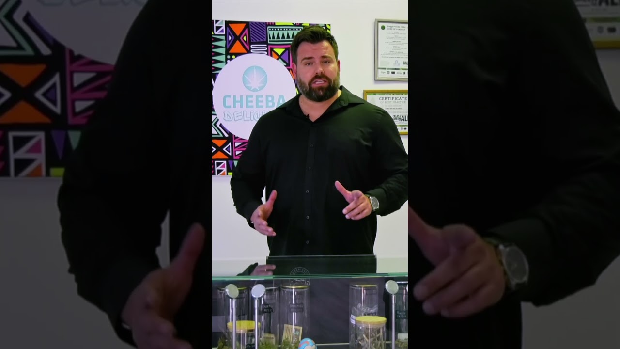 Cannabis and Hemp Business Mastery Programme