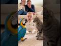 オウムの鳴き声が猫になって赤ちゃん固まってしまう👶🦜#parrot #baby #cute #funny #shorts #赤ちゃん #オウム