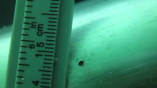 60 Azimut shaft pitting MVI 2401