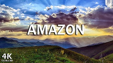 Amazon 4k - The World’s Largest Tropical Rainforest | Relaxation Film with Calming Music