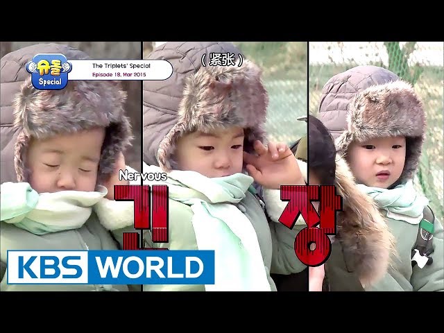 The Return of Superman - The Triplets Special Ep.18 [ENG/CHN/2017.09.08] class=