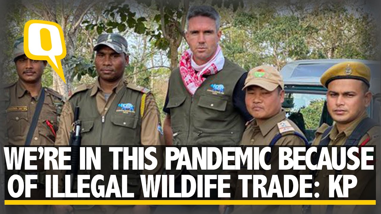'We're Ruining This Planet,' Kevin Pietersen Speaks Strongly Against Animal Poaching 