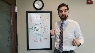 Acid reflux, IBS, the brain gut axis, and upper cervical care - A discussion with Dr. Ian Bulow