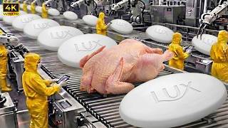 This is How Lux Soap is Produced in The USA Factory: How Lux Soap Is Mass-Produced (Full Factory)