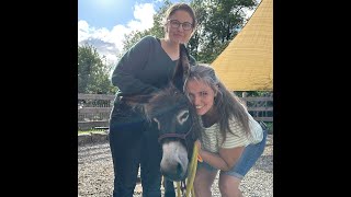 Einfach Nur Schön Eselei Scheinfeld Bitte Teilen Videoproduktion Josefine Mühlroth