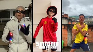 Download lagu ELA VEM NA CAVALGADA x PUTA RARA, PUTA MEXICANA - FUNK TIK TOK [ PH LUCAS & STALONNY ]