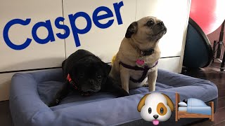 casper dog bed unboxing