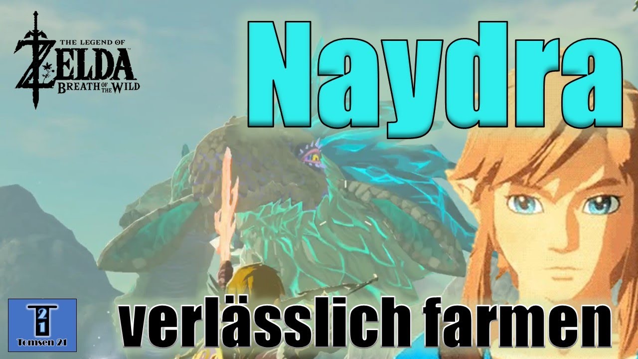 Naydra verlässlich farmen / Zelda BOTW 
