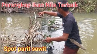 Download Lagu Perangkap Ikan Nila Terbaik Diparit Perkebunan Kelapa Sawit❗️Bubu kawat MP3