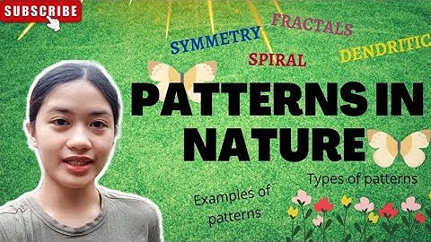 WHAT IS PATTERNS IN NATURE | TYPES OF PATTERNS | MATHEMATICS IN THE MODERN WORLD