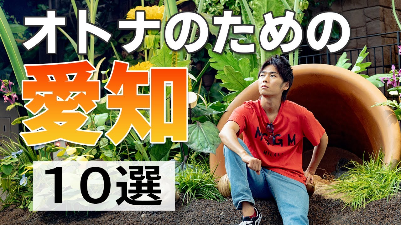 【愛知旅行】愛知県のオススメ大人向け観光スポット