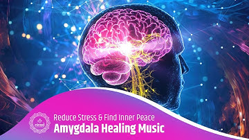 Amygdala Healing Music Therapy - Release Fear, Reduce Stress & Find Inner Peace - 528 Hz