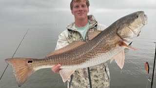 Inshore Fishing in Steinhatchee at its FINEST!!!!