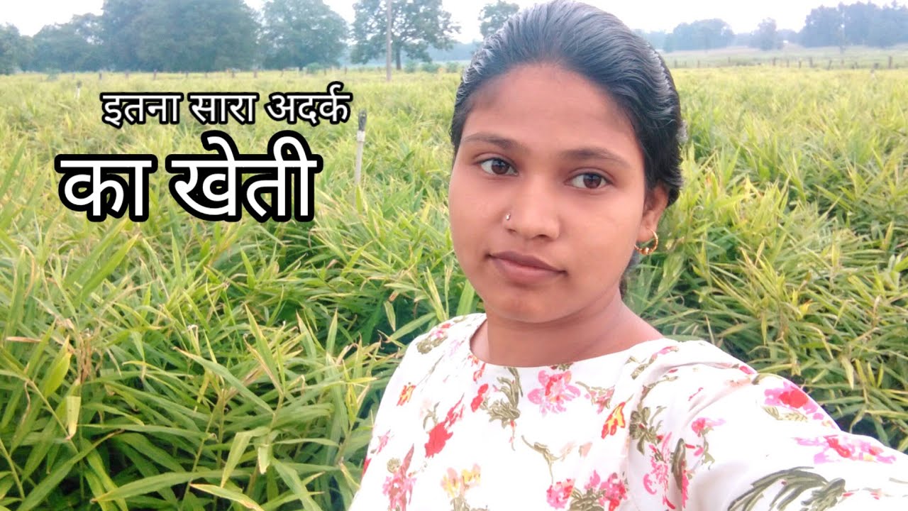 itna Sara adark ki kheti # 2024 ka vlog 