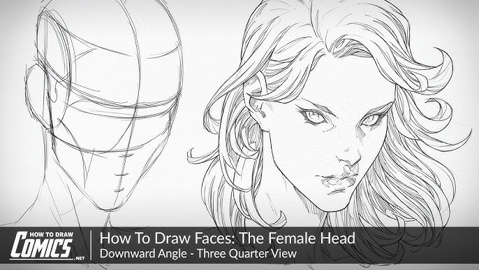 Clayton Barton - HowToDrawComics.NET on X: In this class you'll learn how  to draw the female head, face and facial features from the top down, side  view. Click the link below to