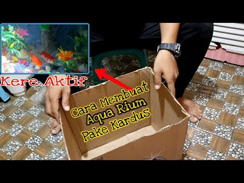 Video: Membuat Akuarium Ikan Yang Beragam