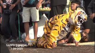 KESENIAN DOGER SARPO TUNGGAL RASULAN TRI PADUKUHAN SEMANU 1-09-2025