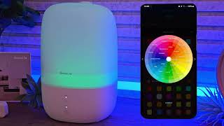 Govee Humidifier (Govee Home & assistant ready)